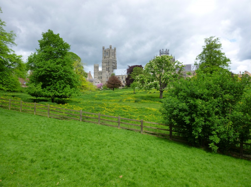 ely 033